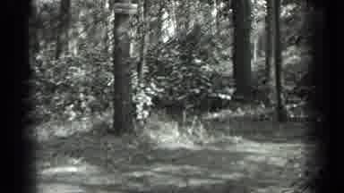Long Lake Canada (1939): Old Black And White Footage Showing The Woods And