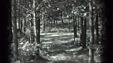 Long Lake Canada (1939): An Opening Or Path Is Shown In A Wooded Forest Or
