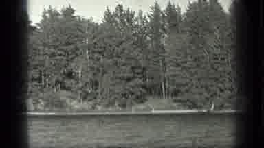 Long Lake Canada (1939): River Shore Next To An Evergreen Pine Tree Forest With