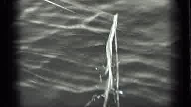 Long Lake Canada (1939): The Older Lady Is On A Boat Fishing But She Caught
