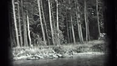 Long Lake Canada (1939): Slow Panning Footage Of Forest With Possible Living