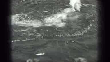 Long Lake Canada (1939): Woman Wearing White Swim Cap Swimming On A Bright Sunny