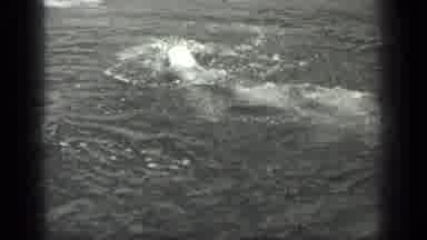 Long Lake Canada (1939): Women Wearing Old Fashioned Bathing Suits Swimming In A