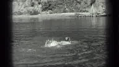 Long Lake Canada (1939): Man Swimming In A Body Of Water As He Bobs His Head Above