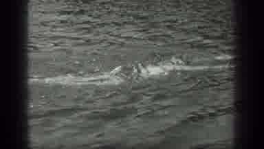 Long Lake Canada (1939): Black And White Video Of A Child Swimming In A Lake