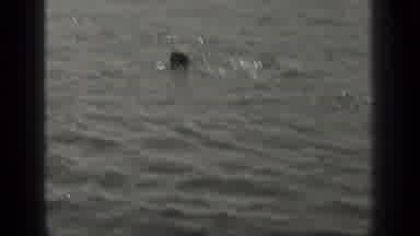 Long Lake Canada (1939): People Swimming In Lake And Person Swimming Towards Other