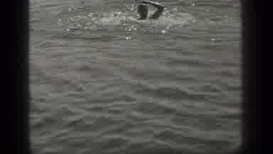 Long Lake Canada (1939): Two People Swimming And Splashing In A Lake As One