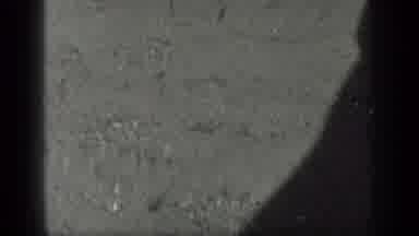Long Lake Canada (1939): Black And White Film Of Fish In Water Swimming Around