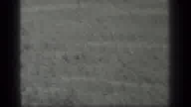 Long Lake Canada (1939): Old Video Of Clear Water And Calm Sand With Rocks