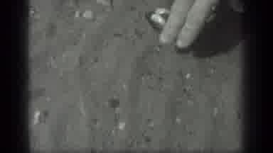 Long Lake Canada (1939): Someone Picking An Item From The Bottom Of A Of A Pond Of