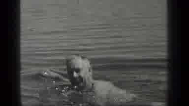 Long Lake Canada (1939): Black And White Man Looking Behind Himself While Swimming
