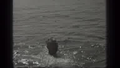Long Lake Canada (1939): Person Swimming And People Staring
