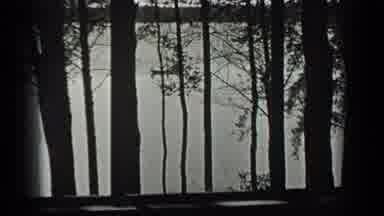 Long Lake Canada (1939): A View Taken From Behind Some Trees Looking At A Rowboat