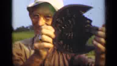 Long Island New York (1948): Man Holding Sea Creature Up To Camera