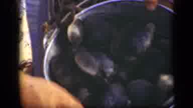 Long Island New York (1948): A Bucket Full Of Oyster Shells And Other Marine