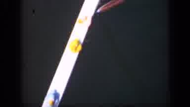 Long Island New York (1948): Yellow Gum On A Metal Strip In The Dark In Front Of A
