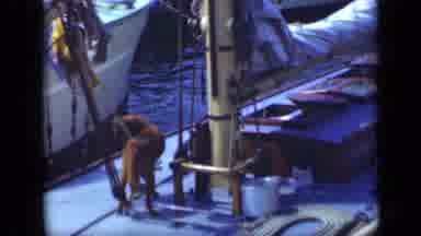 Long Island New York (1948): A Dog Observing The Landscape On Top Of A Boat That