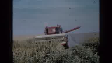 Minnesota USA (1958): The Machine Harvests The Crops In The Field And The Shows