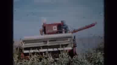 Minnesota USA (1958): Harvesting Is Takes Place