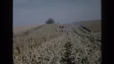 Minnesota USA (1958): Piece Of Farm Equipment In Field Of Crops Planted Rows