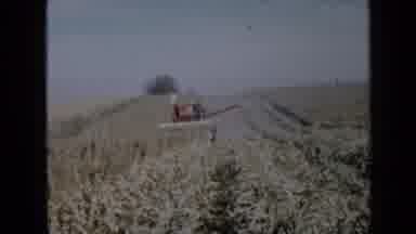 Minnesota USA (1958): A Red Combine Drives Through A Field Harvesting A Crop On An