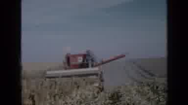 Minnesota USA (1958): Man Operates A Combine Harvesting Tractor In A Field