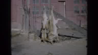 Minnesota USA (1958): Children Play Traditional Games Outside Their Home On A