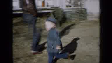 Minnesota USA (1958): Kid Running Around In The Yard Then He Stops To Pet The Dog