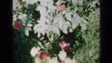 Minnesota USA (1958): The Beginning Of Summer Time