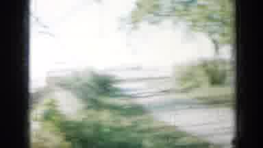Minnesota USA (1958): A Garden With Beautiful Plants And Roses And Then Some Trees