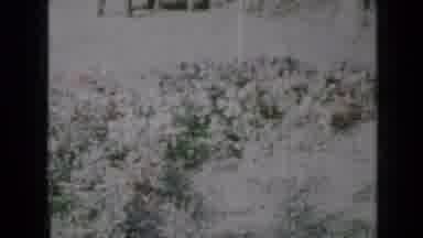 Minnesota USA (1958): Little Girl Plays With Hula Hoop And Does A Great Job With