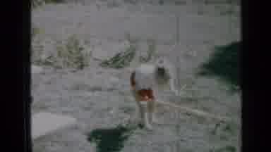 Minnesota USA (1958): A Little Girl Playing With A Toy Called A "Hula Hoop" And Is