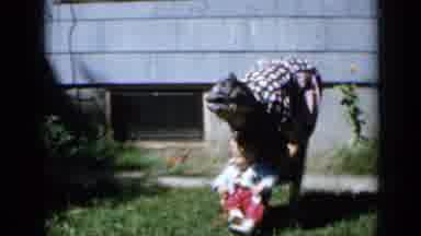 Minnesota USA (1958): Old Lady Moving Baby To Face Towards The Camera For A