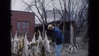 Minnesota USA (1958): Person Wearing Blue Coat Kneels Close To Two Black And White