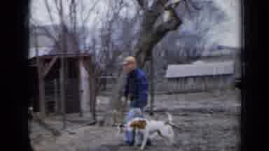 Minnesota USA (1958): Man Walks Alongside Dog While Holding Dog Collar Puppies