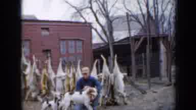 Minnesota USA (1958): A Man Pets A Mother Dog As Her Puppies Jump Around Them Dead