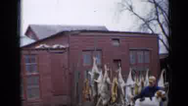 Minnesota USA (1958): Hunter Petting Hunting Dogs Or Hounds In Front Of Coyote