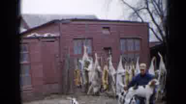 Minnesota USA (1958): Hunter Prepares His Dogs To Return To The Forest To Practice