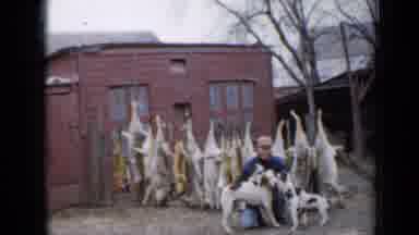 Minnesota USA (1958): Hunter Preparing His Dogs For Hunting Soon To Produce Fur