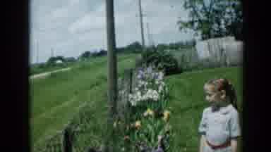 Minnesota USA (1958): Girls Watching Purple White And Yellow Roses Aligned In A