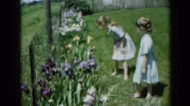 Minnesota USA (1958): Children Play Outside Their House In A Beautiful Garden With