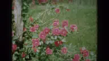 Minnesota USA (1958): Windy Spring Day In Georgia