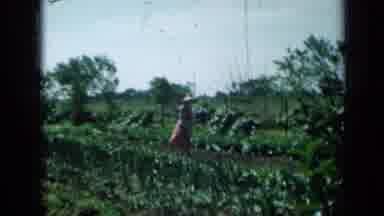 Minnesota USA (1958): A Lady Standing In Front Of A Big House With Flowers And