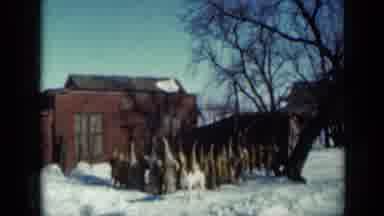 Minnesota USA (1958): A House With Dogs In Front The Street Is Covered With Snow