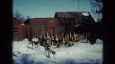 Minnesota USA (1958): Hunter Prepares To Go Hunting In His Hunting Hut With The