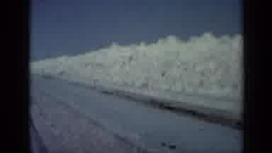 Minnesota USA (1958): Truck Driving Next Food Trough Spilling Food Into It To Feed