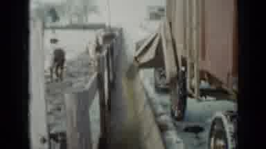 Minnesota USA (1958): Wagon Distributes Feed To Livestock On Sunny But Cold Winter