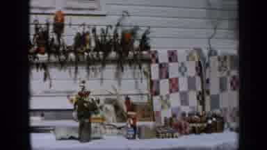 Aledo Texas (1959): Duck At A Family Home
