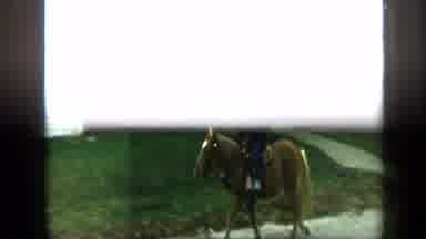 Aledo Texas (1959): Children Riding Horse In Parade While White Car Follows