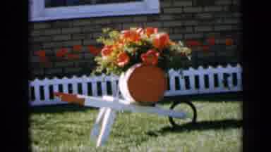 Iowa USA (1959): Beautiful Bouquet Of Flowers Silently Blowing In The Wind On A